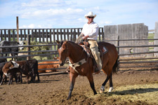 Canada-Saskatchewan-Saskatchewan River Valley Ranch